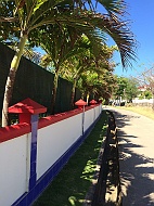 IMG_2450