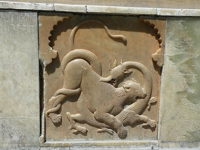 DSCF8204.JPG
