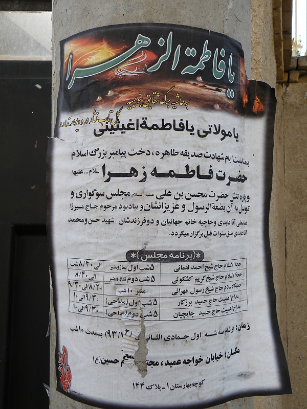 DSCF8514.JPG