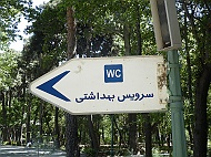 DSCF8192