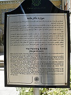 DSCF8210