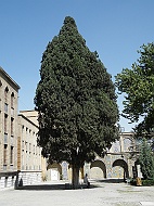 DSCF8222