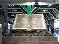 DSCF8339