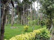 DSCF8414
