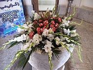 DSCF8516