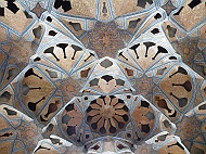 DSCF8610