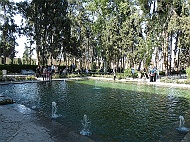 DSCF8665
