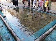 DSCF8671