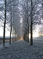 2007_1222_December0033