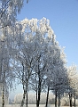2007_1222_December0038