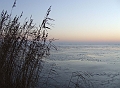 2007_1222_December0044