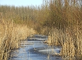 2007_1223December0005