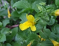 2008_0806_thuis0020