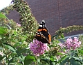 2008_0831_thuis0050