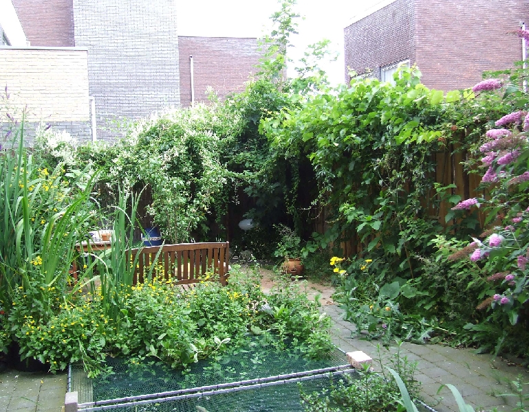 2009_0719_Juli_thuis0030.JPG - The Backyard