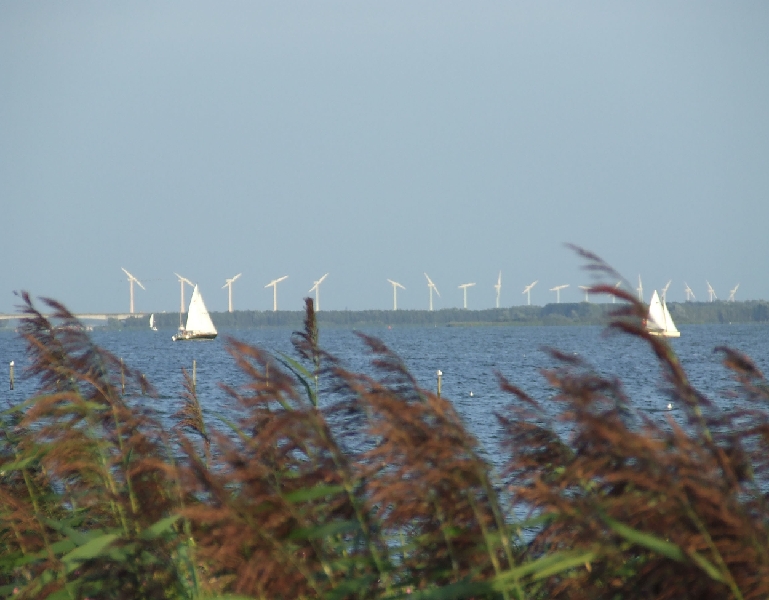 2009_0816_Augustus_thuis0014.JPG - Power for Motion and Motion