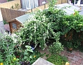 2009_0719_Juli_thuis0035