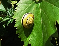 2009_0815_Augustus_thuis0013