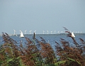 2009_0816_Augustus_thuis0014
